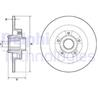 Brake disk with bearing