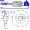 Brake disk with bearing