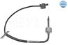 Exhaust fumes temperature sensor
