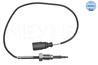 Exhaust fumes temperature sensor