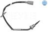Exhaust fumes temperature sensor