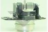 Опора ДВС Renault Kangoo I FL/Kangoo 1.6 i/Kangoo Express 1.6 i/Twingo Опора ДВС Renault Kangoo I FL/Kangoo 1.6 i/Kangoo Express 1.6 i/Twingo