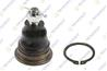Шаровые опоры TEKNOROT N1004 545242S685 NISSAN NAVARA D22 2.5 D 4x4 01- ш Шаровые опоры TEKNOROT N1004 545242S685 NISSAN NAVARA D22 2.5 D 4x4 01- ш