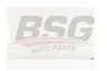 BSG 90-145-006_фильтр салона! с конд. MB W210/W22