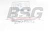 Оптика BSG