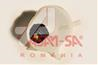 ASAM 32105 Бачок расширительный охлаждающей жидкости RENAULT MEGANE I