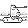 6 PK 1613 + ГасКрутКолеб. (Contitech)