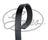 6PK1395_ремень поликлин.! Renault Clio 1.9D 97&gt  Toyota MR2 1.8 16V 01&gt
