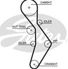 5604XS_ремень ГРМ! 148x230 Audi A3/A4 2.0 01&gt  VW Golf V/Touran 2.0 03&gt