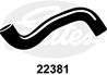 Radiator Coolant Hose