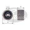 Engine Timing Idler Sprocket