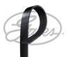 Serpentine Belt