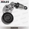 Натяжитель ремня приводного SSANGYONG KYRON/REXTON/ACTION/RODIUS 2.0D/2.7D 04- AG00300