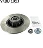 Brake disk with bearing