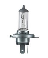 LIGHT BULB