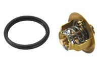 Термостат Ford