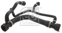 RADIATOR BRANCH (RUBBER)