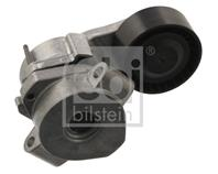 Натяжитель поликлинового ремня