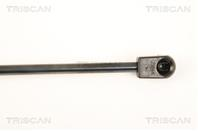 Упругий элемент, крышка багажника / помещения для