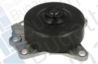 Водяной насос (PJ)