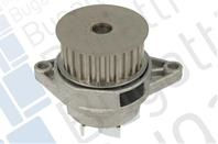 Водяной насос