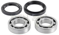 R181.06_ 22/05 !к-кт подшипника ступ. пер. Subaru