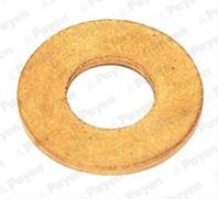 Шайба уплотнительная форсунки