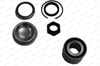 Комплект ступичного подшипника CITROEN C2/C3/PEUGEOT 1007/206 02(барабан)зад.