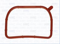 Ir_прокладка впускного коллектора