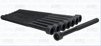К-кт болтов гбц citroen c1  peugeot 107/1007 1.0 1