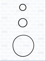 Комплект прокладок масляного радиатора