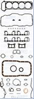 50 1301 00_к-кт прокладок ДВС! Nissan Terrano/Pat