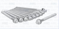 Болты ГБЦ (к-т) Citroen  Peugeot 1.8-2.0 16V 04- Болты ГБЦ (к-т) Citroen  Peugeot 1.8-2.0 16V 04-