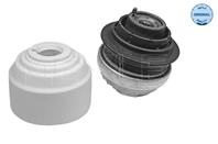 Опора двигателя