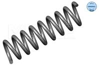 SUSPENTION SPRING