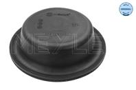 Диафрагма тормозной системы