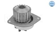 Водяная помпа