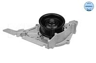 Водяная помпа