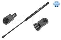 Аморитизатор задней двери