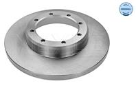 Диск торм. зад.[302x18] 8 отв. min2