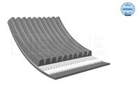 0500101500 V-ribbed belt