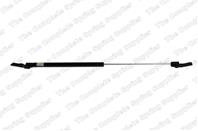 Амортизатор багажника Амортизатор багажника