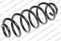 Sprezyna zawieszenia