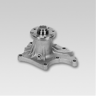 водяной насос