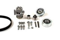 Комплект (ремень + ролик + водяной насос)