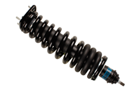 Амортизатор задний газовый 41173435 от компании BILSTEIN