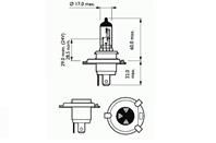 202792 (h4 basic 12v 60/55w p43t)