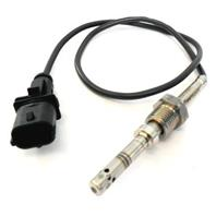 Exhaust fumes temperature sensor