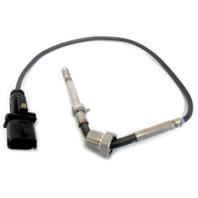 Exhaust fumes temperature sensor