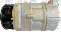Compressor  12 v